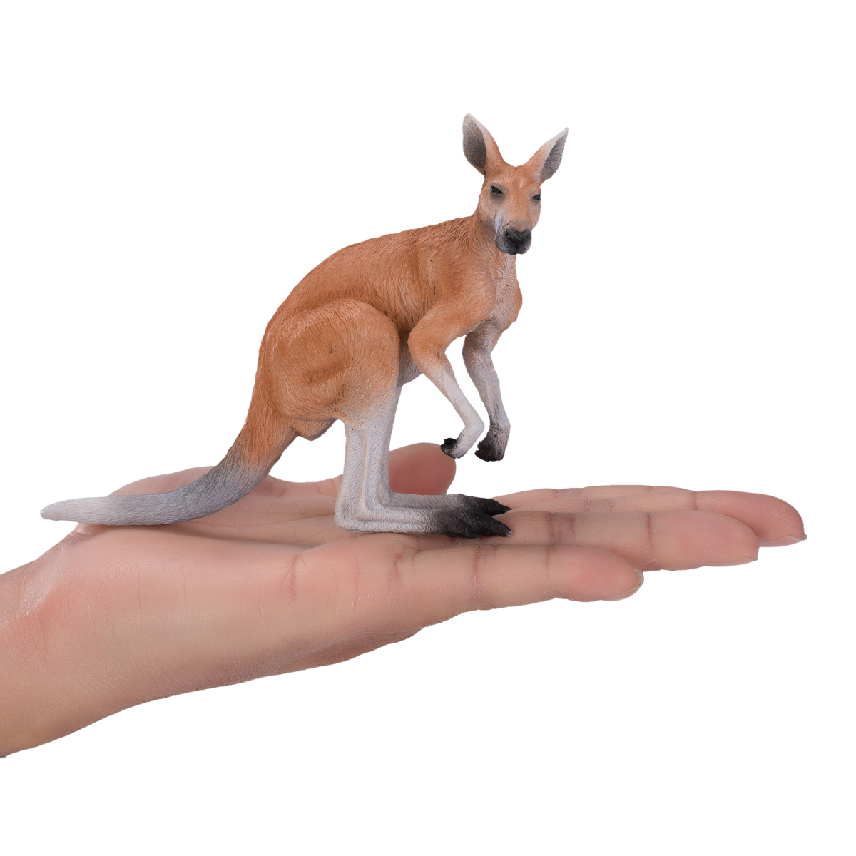 Mojo Fun Kangaroo Toy Figurine – Realistic Australian Wildlife Model