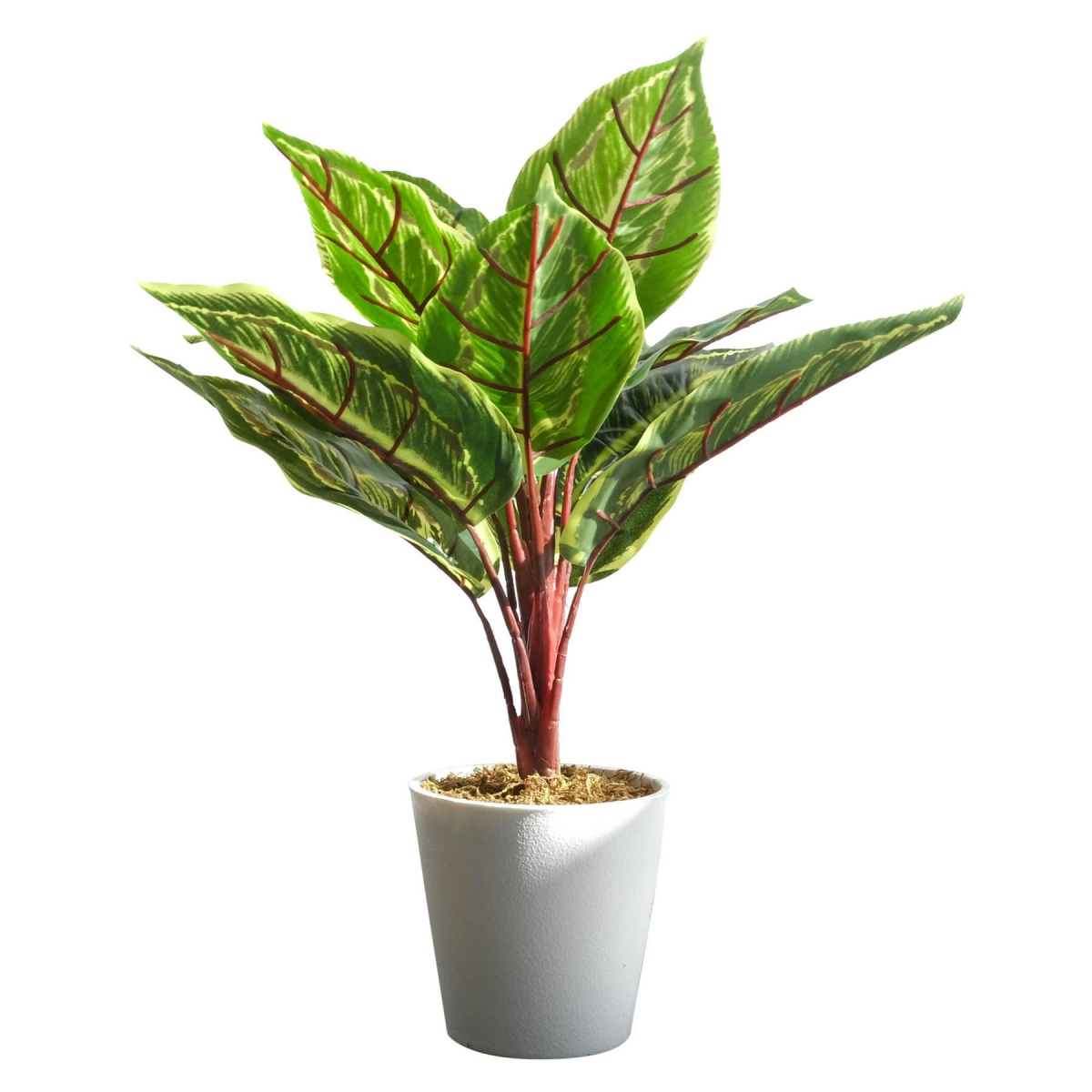 Leaf Artificial Potted Calathea Veitchiane, Pack of 6 – Low-Maintenance Desk and Shelf Plants, 38cm