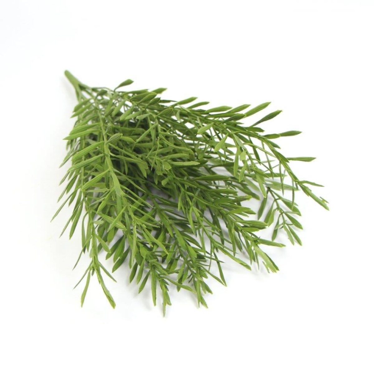 Leaf Pack of 6 Fire Resistant Artificial Mini Grass Foliage Stems, 40cm – Bare Stem Greenery for Home & Office