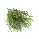 Leaf Pack of 6 Fire Resistant Artificial Mini Grass Foliage Stems, 40cm – Bare Stem Greenery for Home & Office