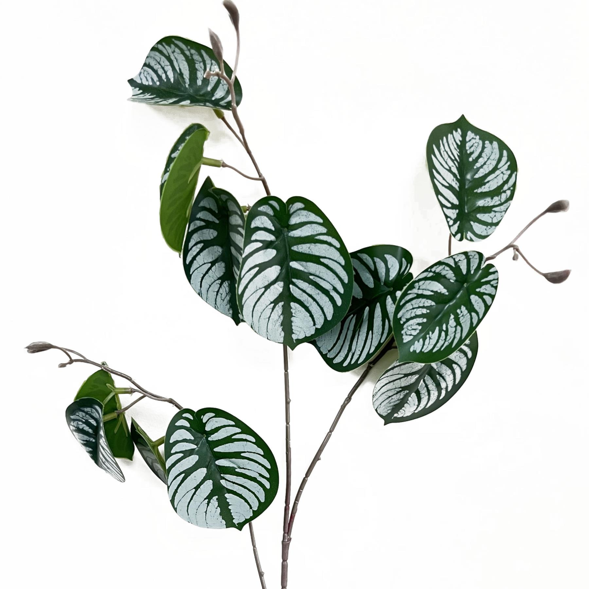 Leaf 70cm Artificial Zebra Foliage Stem with Wired Stem – Realistic Faux Greenery for Vases & Displays