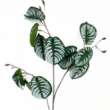 Leaf 70cm Artificial Zebra Foliage Stem with Wired Stem – Realistic Faux Greenery for Vases & Displays