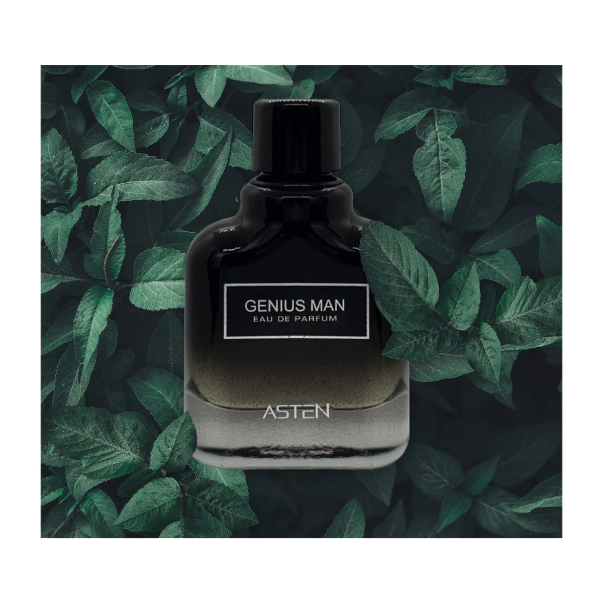 London Musk Genius Man Fragrance 100ml – Woody Spicy Scent Inspired by Gentleman Givenchy