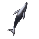 Mojo Humpback Whale Figurine – Realistic Ocean Mammal Toy