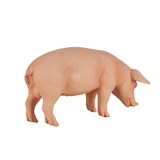 Mojo Wild Boar Figurine – Realistic Farm and Forest Animal Toy