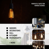 Ledsone 6 Pack E27 Dimmable LED Edison Bulbs, ST64 Amber Glass – 6W Warm White 2700K Vintage Filament