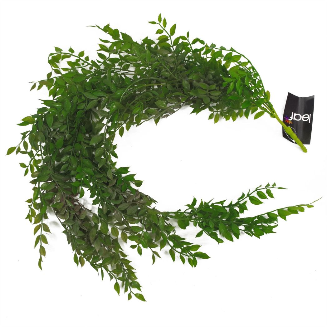 Leaf Design UK 100cm Artificial Hanging String of Pearls Fern Plant – Unpotted Bare Stem, Dark Green
