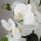 Leaf 60cm Artificial Orchid in White and Gold Ceramic Planter – Realistic PVC Flowers, Ready-to-Display Home Decor
