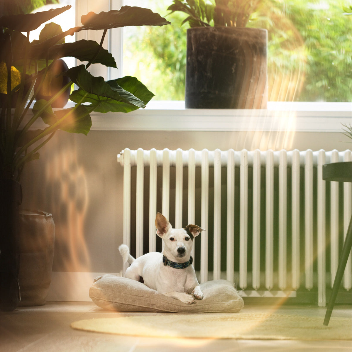 SPEEDCOMFORT Radiator Fan Monoset with Hooks – Faster Room Heating, Energy-Saving Heating Booster