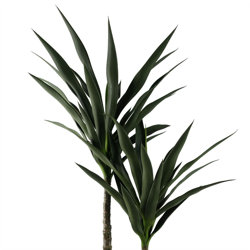 Botanik 120cm Tropical Yucca Tree – UV Resistant Outdoor Artificial Plant with Fixed Branches
