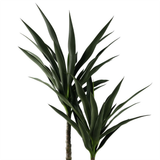 Botanik 120cm Tropical Yucca Tree – UV Resistant Outdoor Artificial Plant with Fixed Branches
