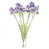 Pack of 6 Artificial Purple Starflower Stems, 60cm with 30 Silk Flowers – Home Floral Decor