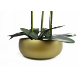 60cm Artificial Black Orchid – Gold Ceramic Planter
