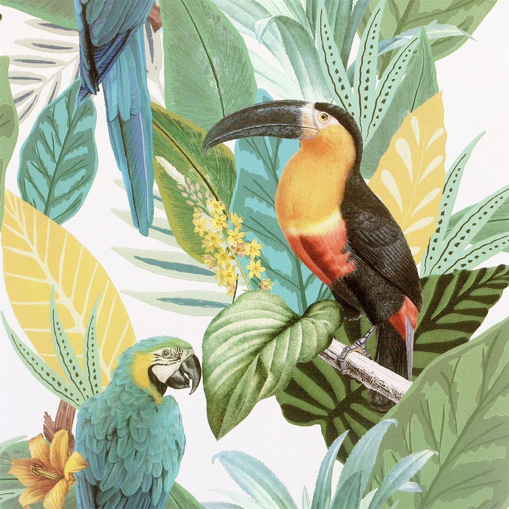 Arthouse Toucan Jungle Wallpaper – Paste the Paper Tropical Feature Wall Covering, Multi