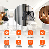 Ledsone 6 Pack E27 Dimmable LED Edison Bulbs, ST64 Amber Glass – 6W Warm White 2700K Vintage Filament
