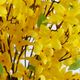 Leaf 150cm Artificial Forsythia Tree with Yellow Silk Flowers and Natural Wood Trunk – Home Decor Plant