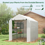 Outsunny Walk-In Greenhouse Polytunnel with Roll-Up Door & 3-Tier Shelves – 244 x 180 cm, Reinforced PE Cover