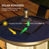 Outsunny 1.3m Solar LED Outdoor Street Light, IP44 Waterproof – Garden Pathway Lamp, Cool White, Black