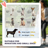 PawHut Foldable Pet Stroller with Detachable Carrier, Soft Padding & Storage Pouch for Small Dogs – Grey