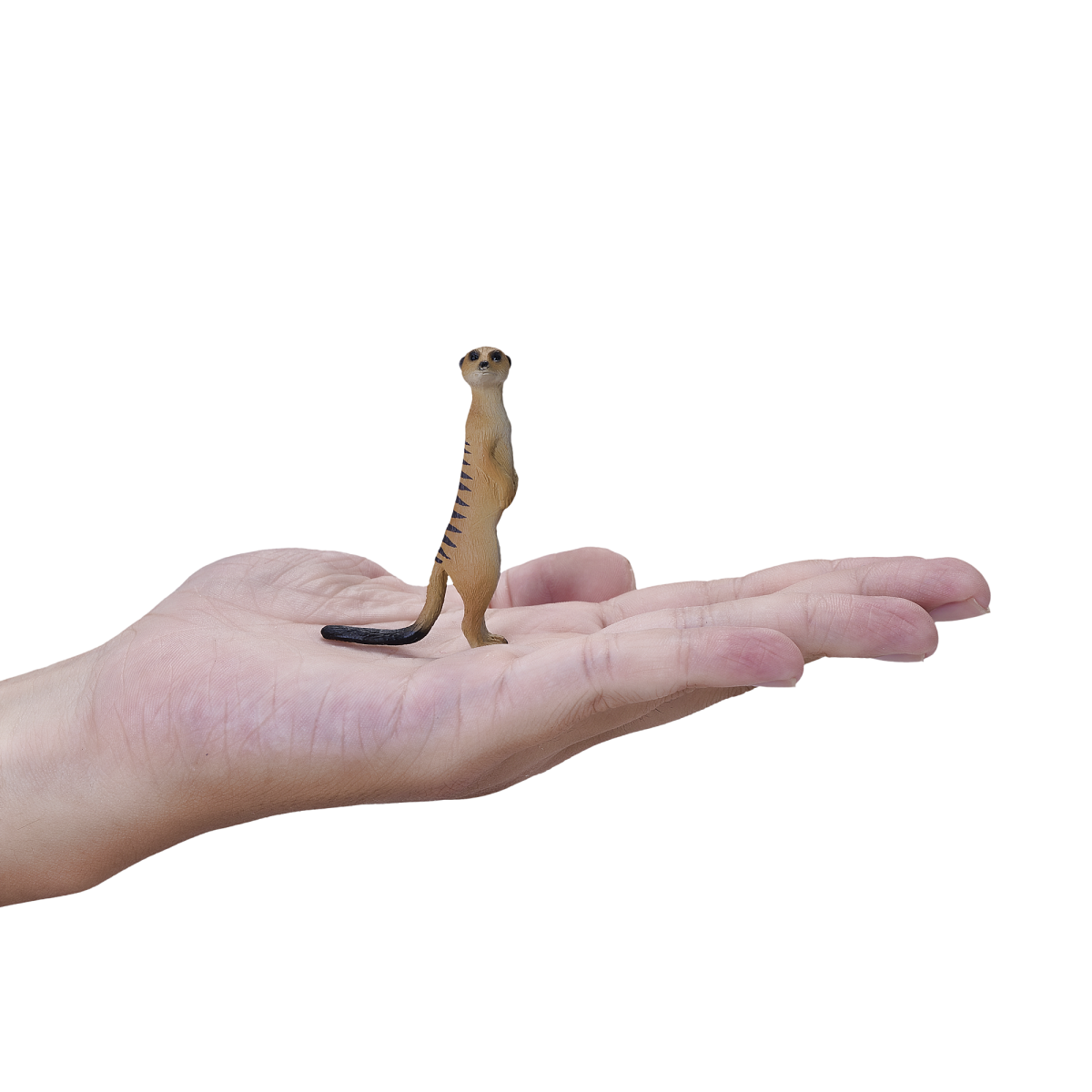 Mojo Meerkat Figure – Realistic African Wildlife Toy