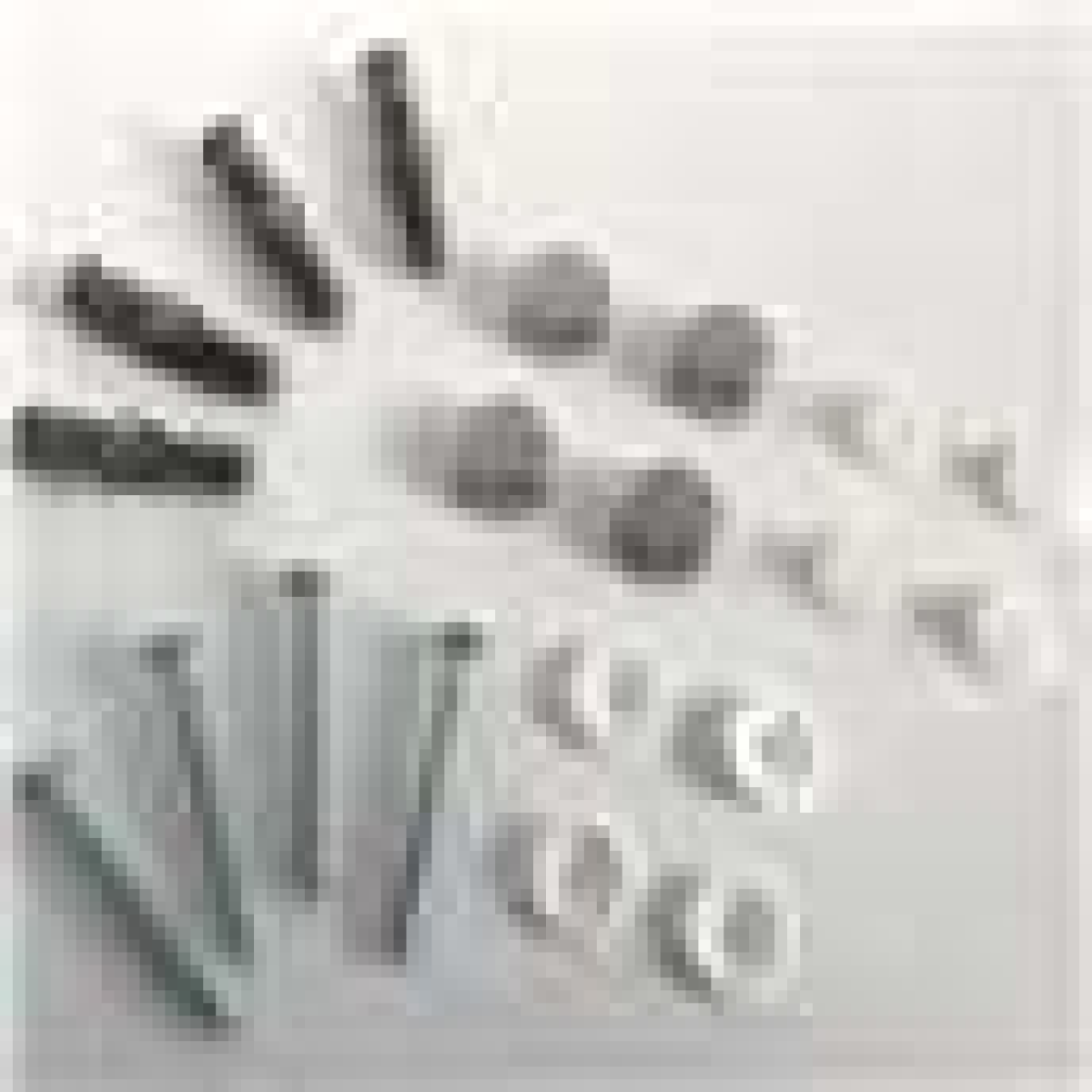 Mirror Fixing Kit with Screws, Raw Plugs and Chrome Caps – Wall Hanging Spares for Drilled Mirrors