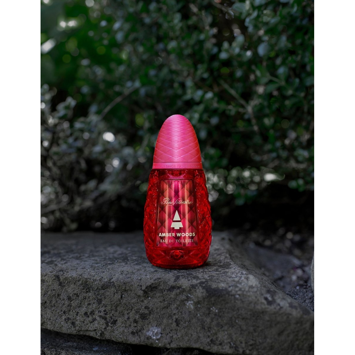 Pino Silvestre Amber Woods Eau de Toilette Spray 125ml – Amber & Oriental, Fresh & Citrus Fragrance for Men