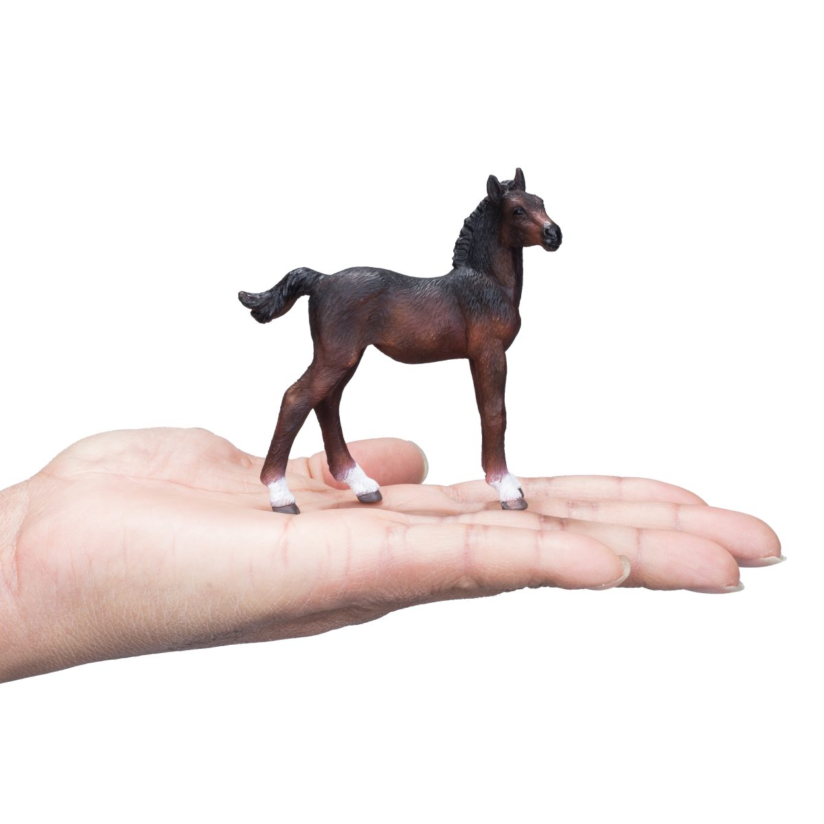 Mojo Hanoverian Foal Bay Figurine – Realistic Horse Model