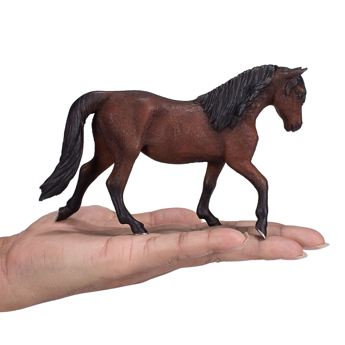 Mojo Morgan Stallion Bay Figurine – Realistic Horse Model