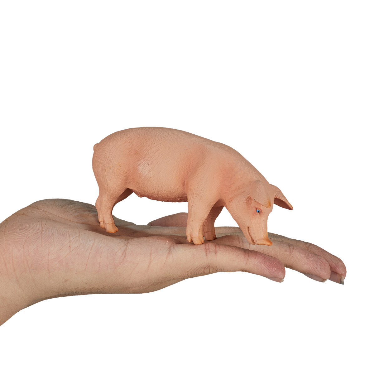Mojo Wild Boar Figurine – Realistic Farm and Forest Animal Toy