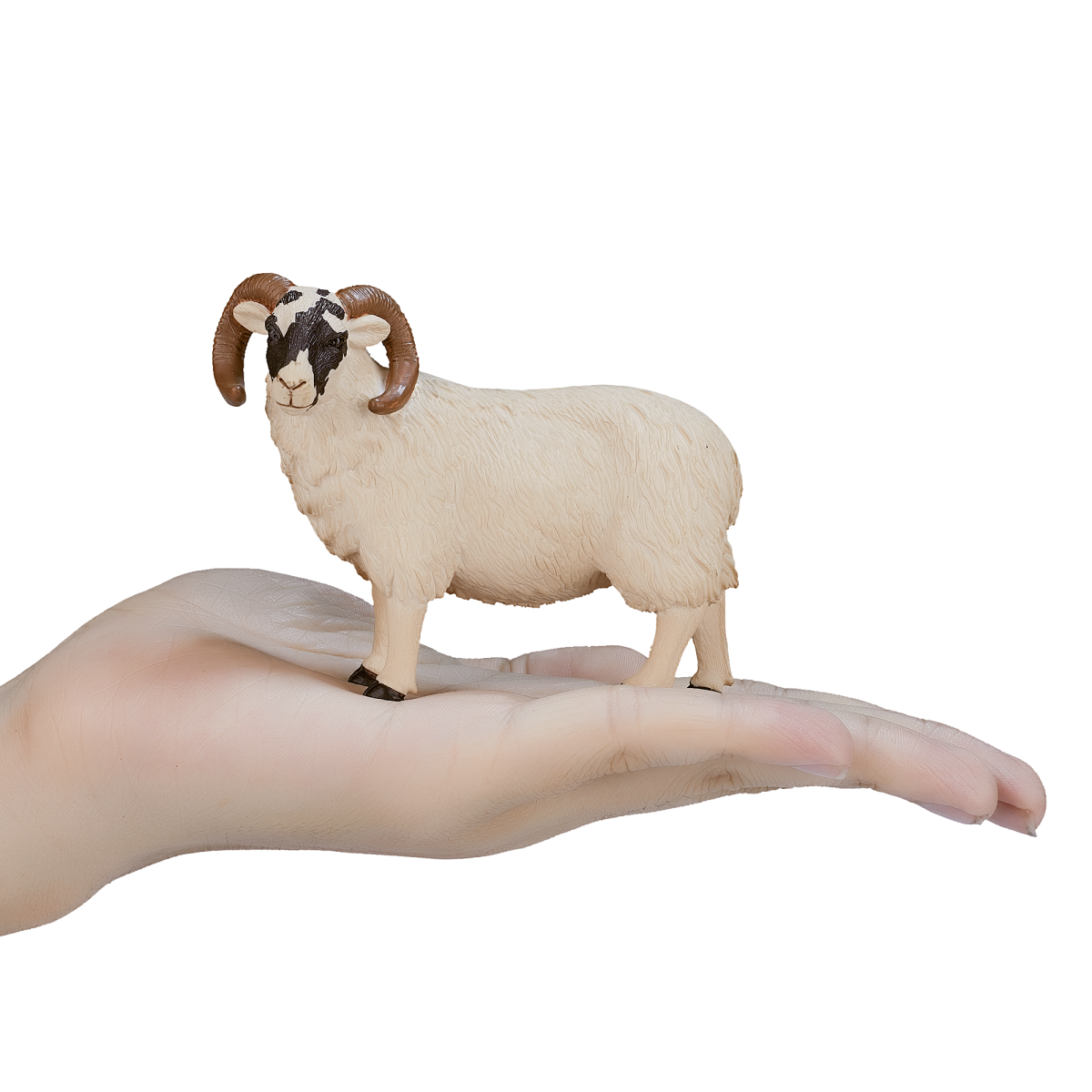 MojoFun Black-Faced Sheep Ram Toy Figurine – Realistic Farm Animal Model