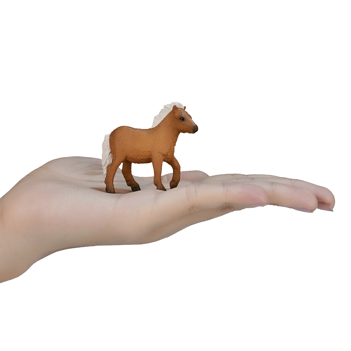 Mojo Shetland Foal Figurine – Realistic Pony Model
