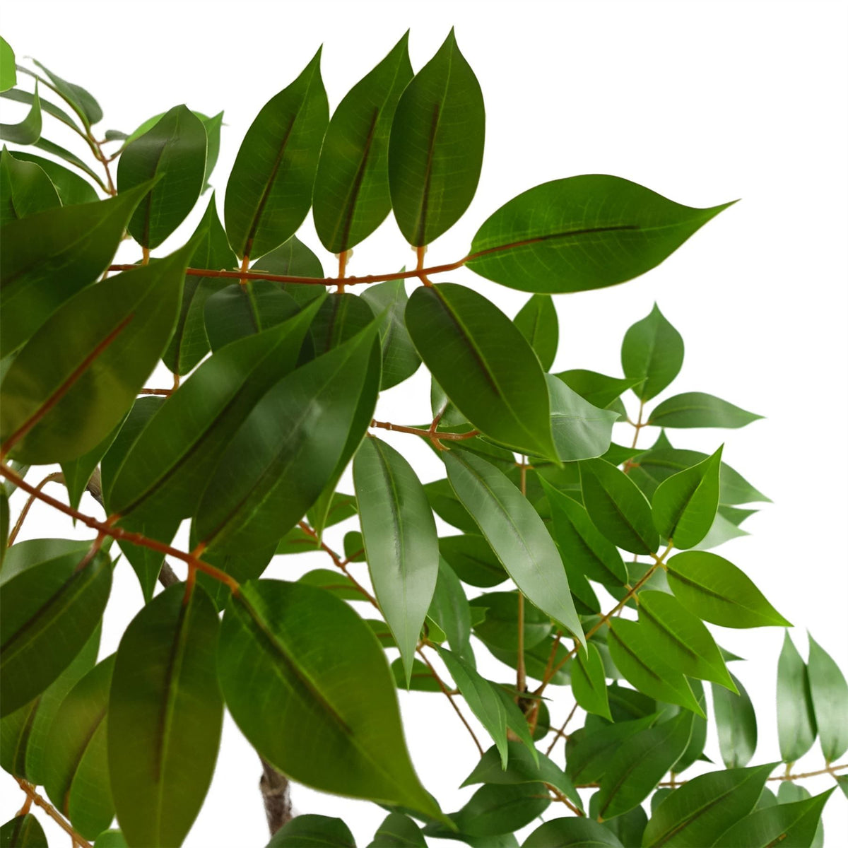 Leaf 110cm Artificial Toona Sinensis Tree – Evergreen Realistic Indoor Plant in Weighted Pot