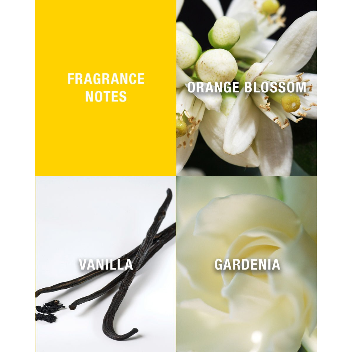 Giorgio Beverly Hills Giorgio Yellow Eau de Toilette Spray 30ml – Floral, Woody Fragrance for Women