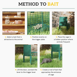 Outsunny Single Door Humane Rat Trap Cage for Small Animals with Top Handle – Steel, Dark Green