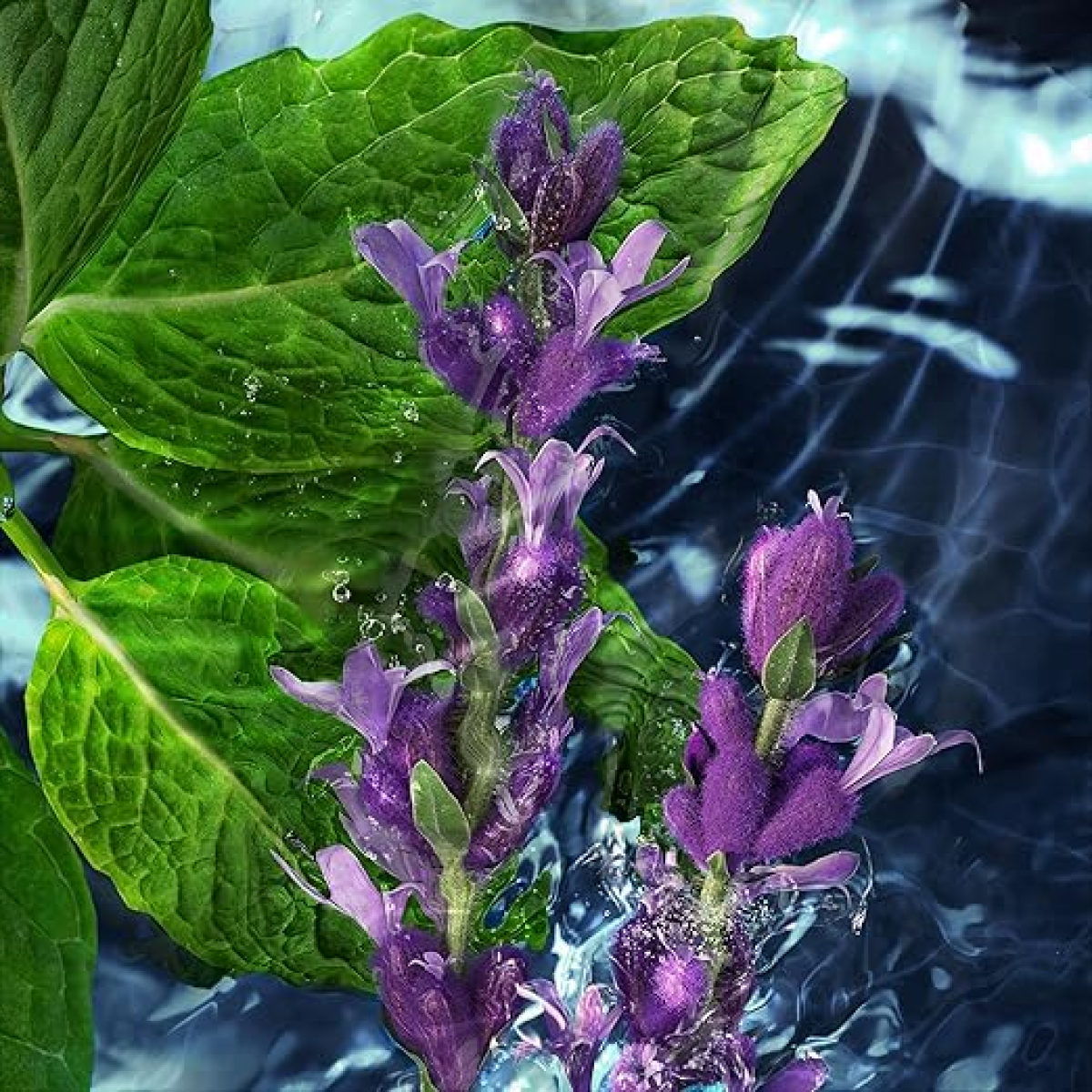 Davidoff Cool Water Eau de Toilette Spray 40ml – Woody, Aquatic Fragrance for Men