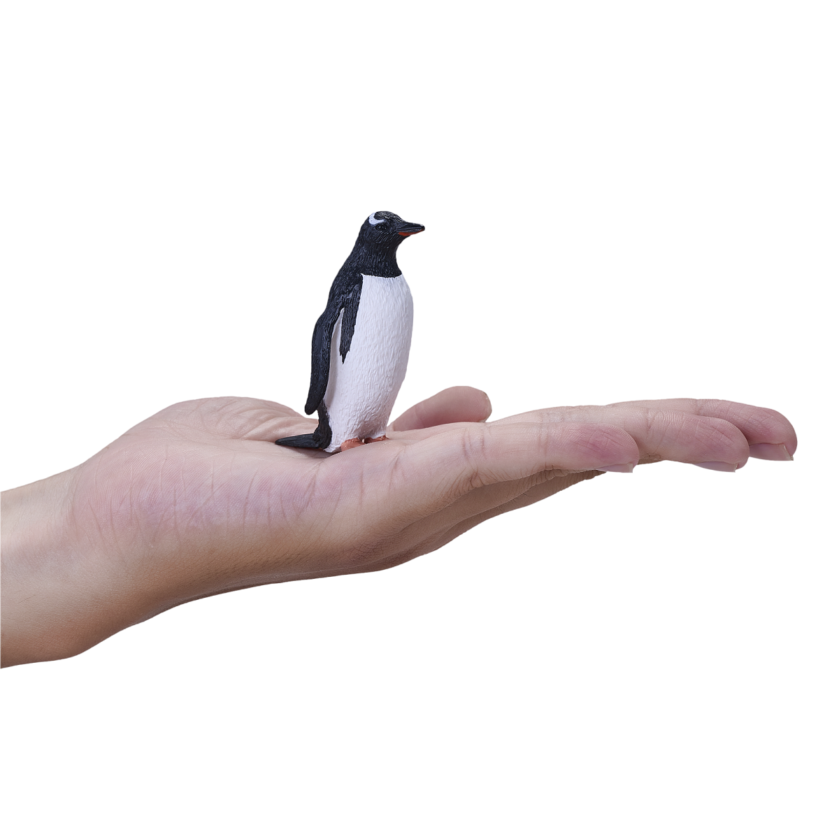 Mojo Gentoo Penguin Figurine – Realistic Antarctic Bird Toy