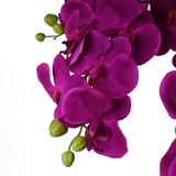 150cm Giant Artificial Purple Orchid – 189 Real Touch Flowers