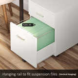 Vinsetto 2-Drawer Locking Mobile Filing Cabinet on Wheels – Home Office Document Storage, White