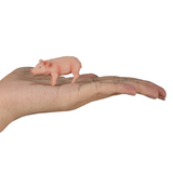 MojoFun Piglet Toy Figurine – Realistic Farm Animal Model