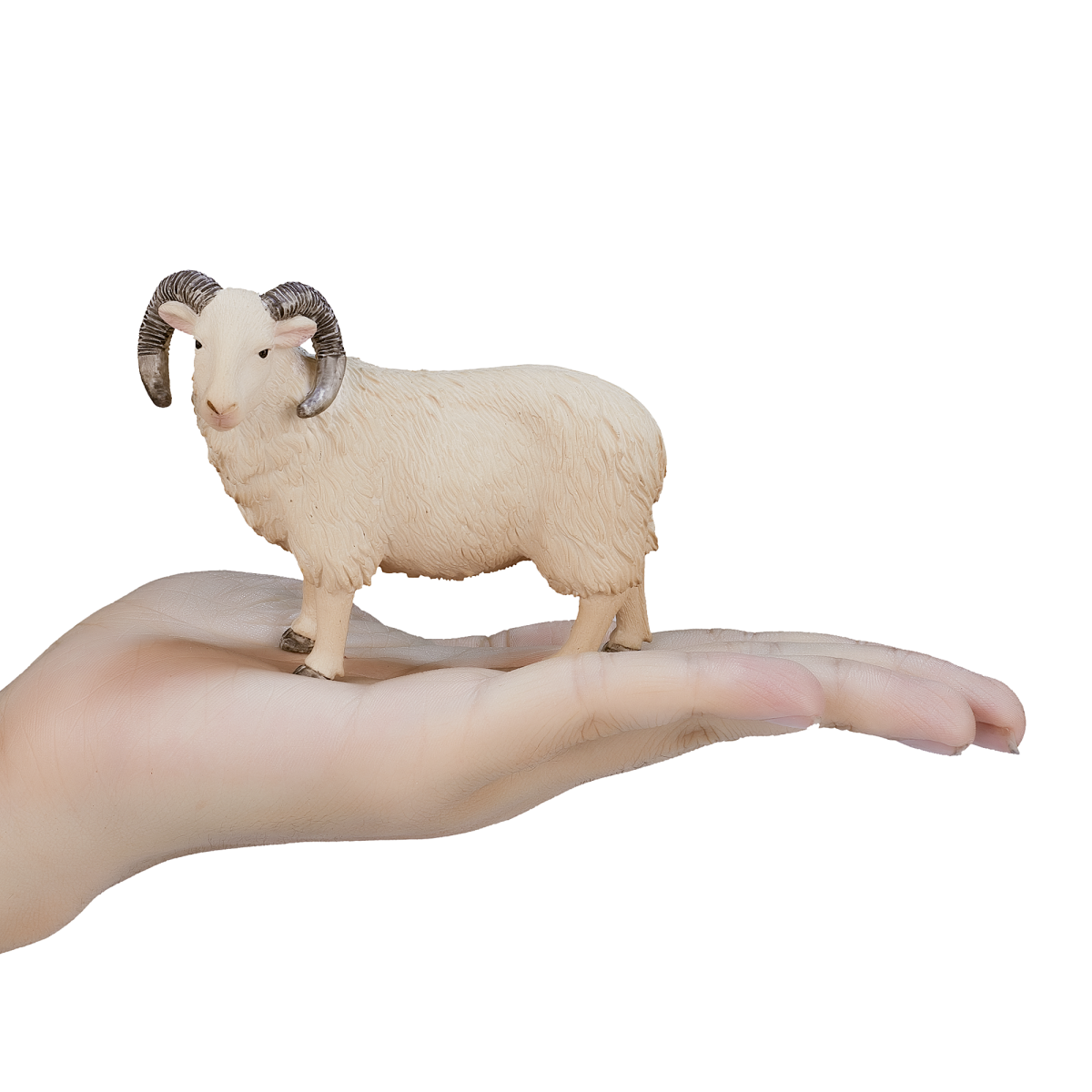 Mojo Sheep Ram Figurine – Realistic Farm Animal Toy