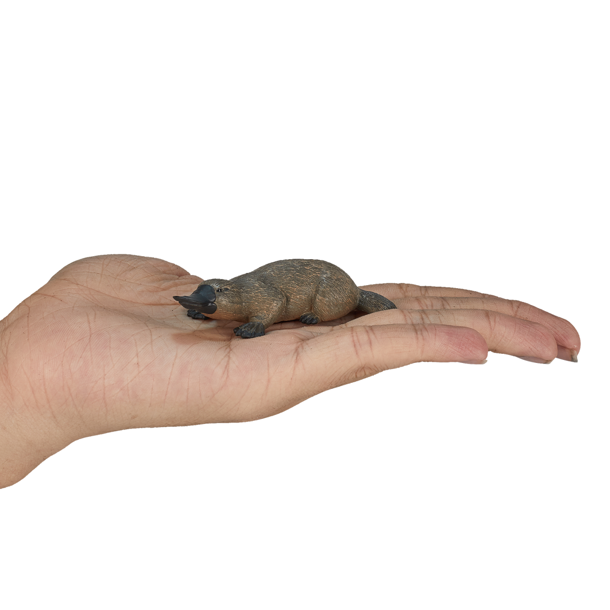 Mojo Duck-Billed Platypus Figure – Realistic Australian Wildlife Toy