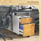 HOMCOM 2 Drawer Lockable Filing Cabinet with Adjustable Bar for A4 & Letter Files – Mobile Under-Desk Storage