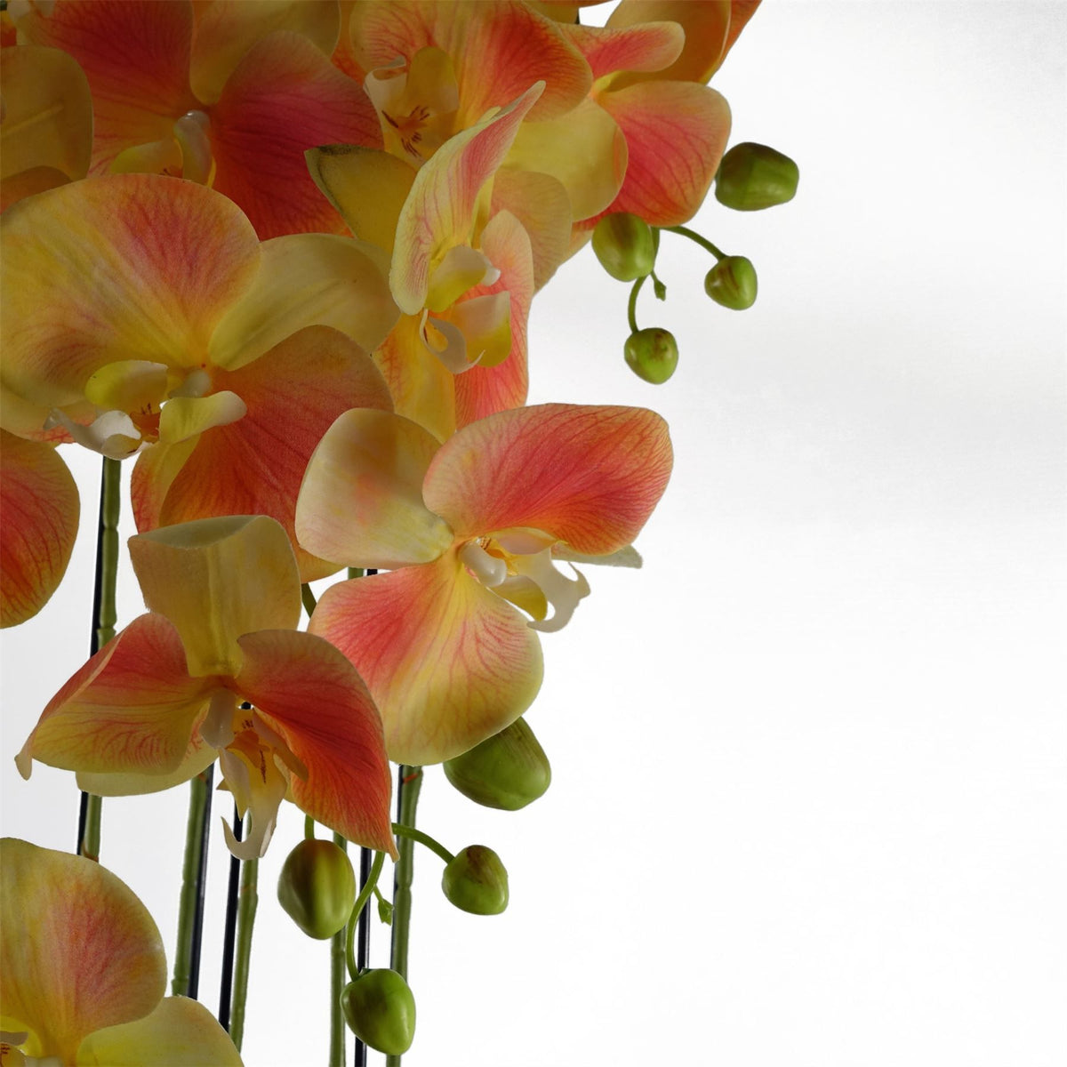 Leaf 110cm Large Artificial Yellow Peach Orchid with 41 Real Touch Flowers – Wired Stems, Weighted Pot