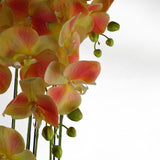 Leaf 110cm Large Artificial Yellow Peach Orchid with 41 Real Touch Flowers – Wired Stems, Weighted Pot