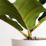 38cm Potted Artificial Fiddle Fig Plant