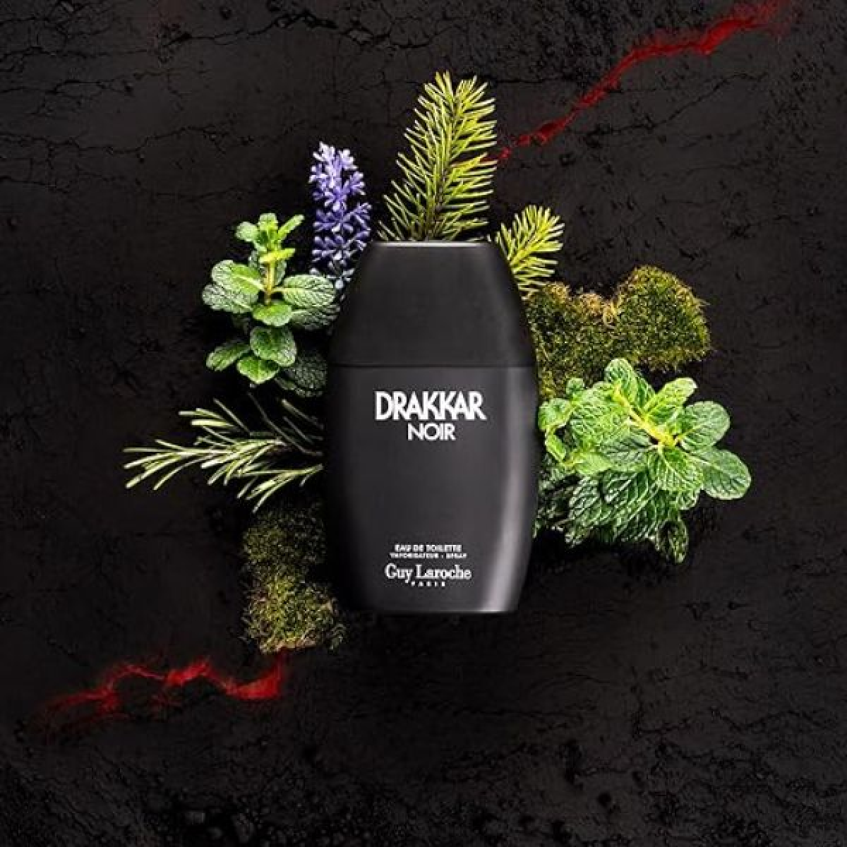 Guy Laroche Drakkar Noir Men Eau de Toilette 200ml – Aromatic, Fresh & Citrus Fragrance for Men