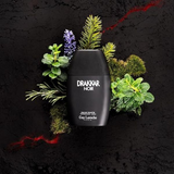 Guy Laroche Drakkar Noir Men Eau de Toilette 200ml – Aromatic, Fresh & Citrus Fragrance for Men