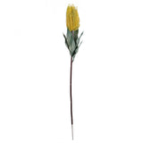 Pack of 6 x 75cm Banksia Menziesii Yellow Flower Stem Artificial