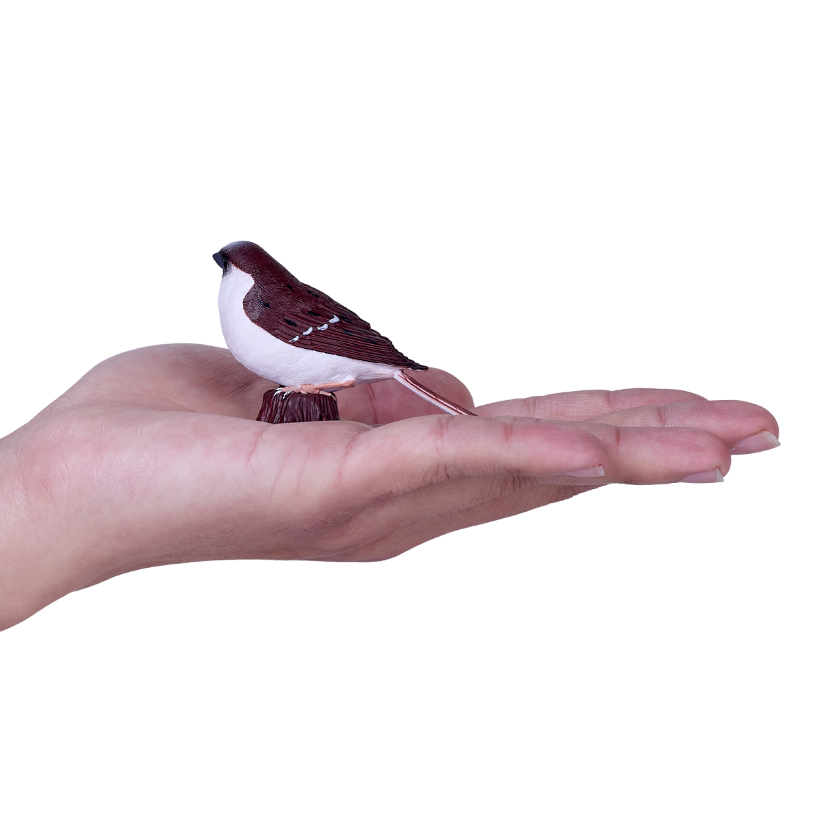 Mojo House Sparrow Figurine – Hand-Painted Realistic Bird Model, Enthusiast Collection