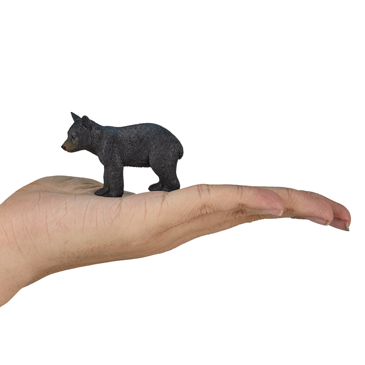 Mojo American Black Bear Cub Figure – Realistic Wildlife Toy